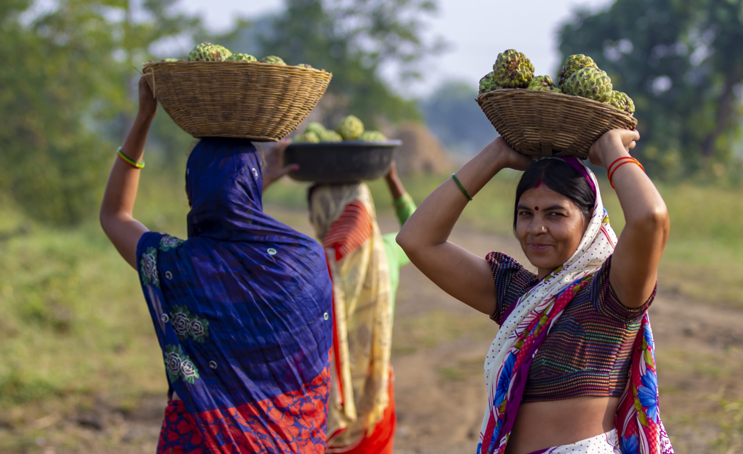 Bastar Se Bazaar Tak provides income to tribal women - Women on Wings