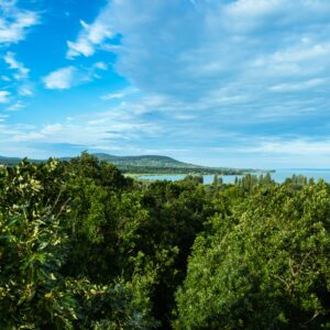 view from the top of a forest of a bay with mountains behind it and a blue sky